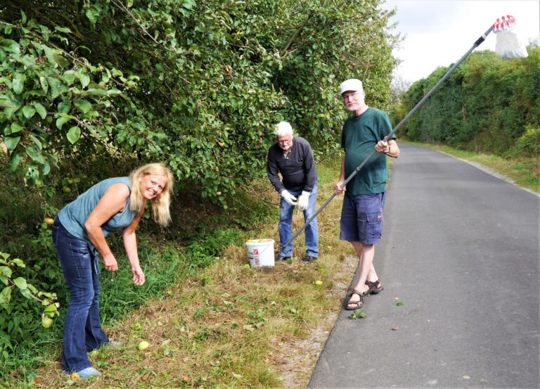 Apfelsaft aus Probierbäumen