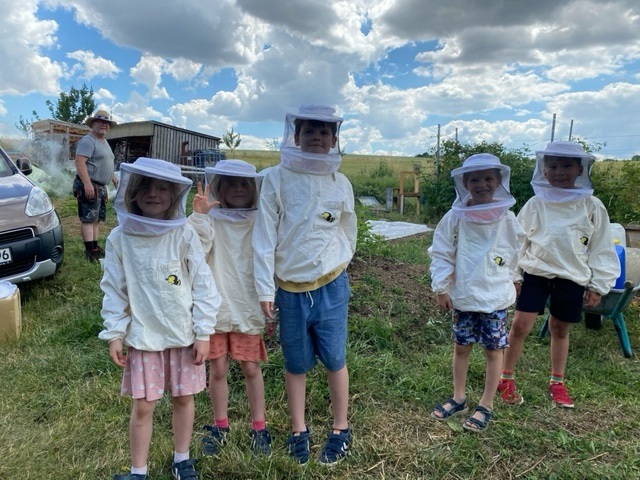 Eine Reise in die Welt der Bienen