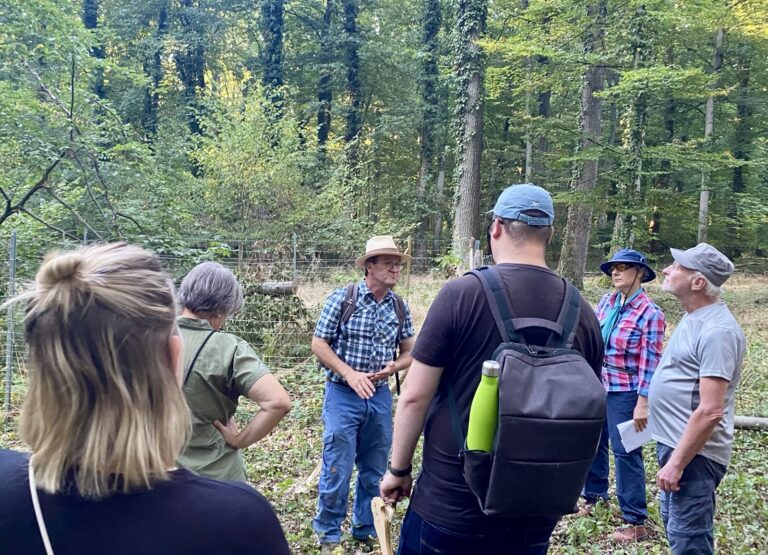 Ist der Forst fit für den Klimawandel?