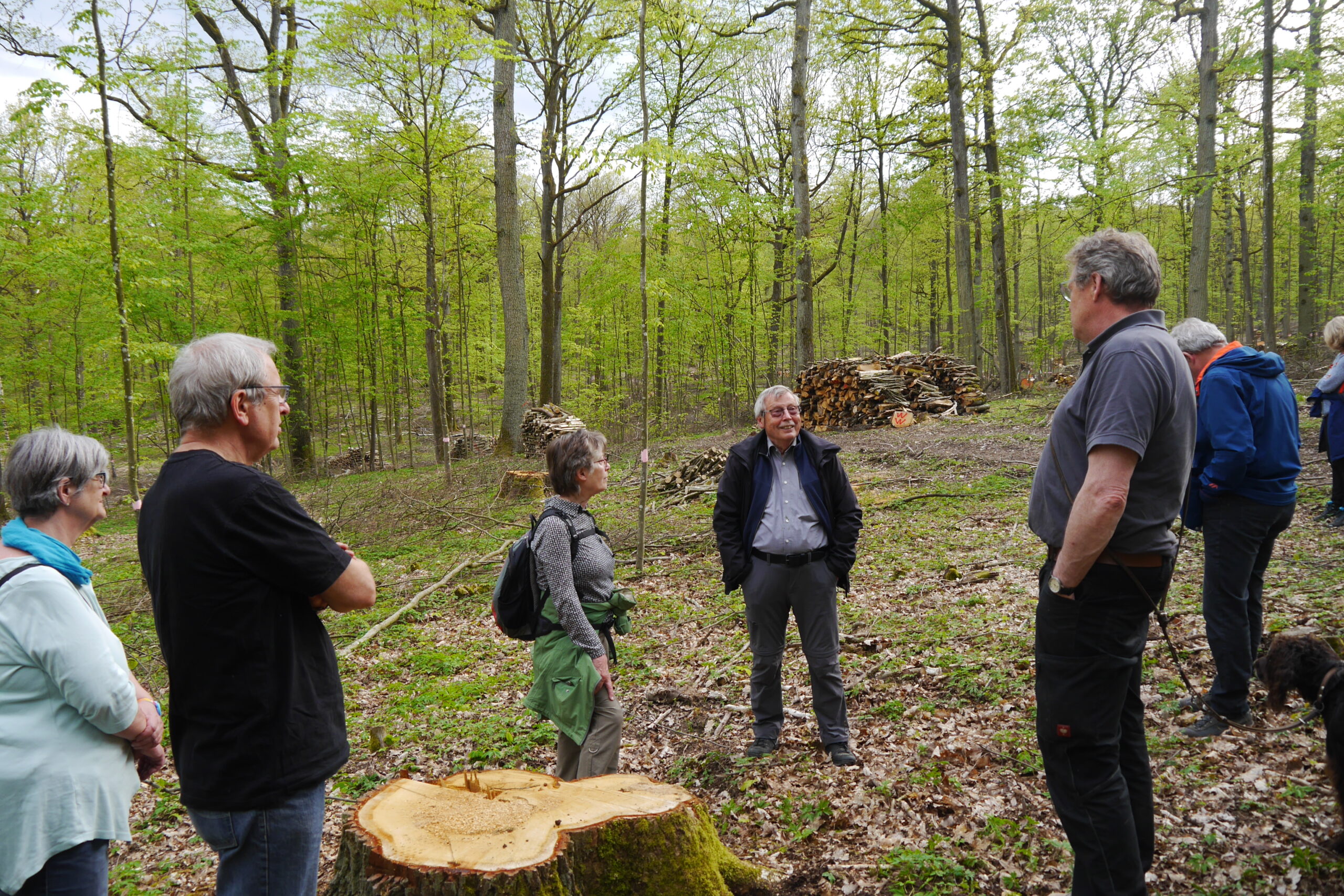 Foto von sieben Personen, die im Iphofener Mittelwald stehen. In der Mitte der stadteigene Förster, um ihn herum die Delegation aus Rottendorfern.