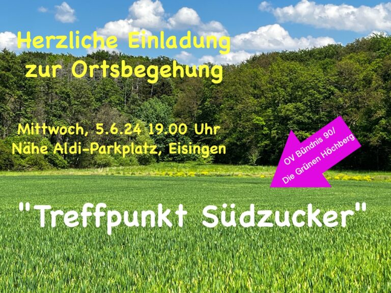 Ortsbegehung und Diskussion zum Südzuckerareal