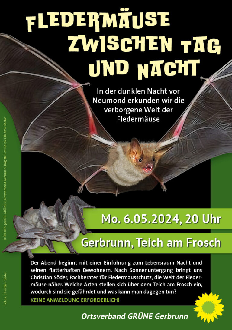 Fledermäuse zwischen Tag und Nacht