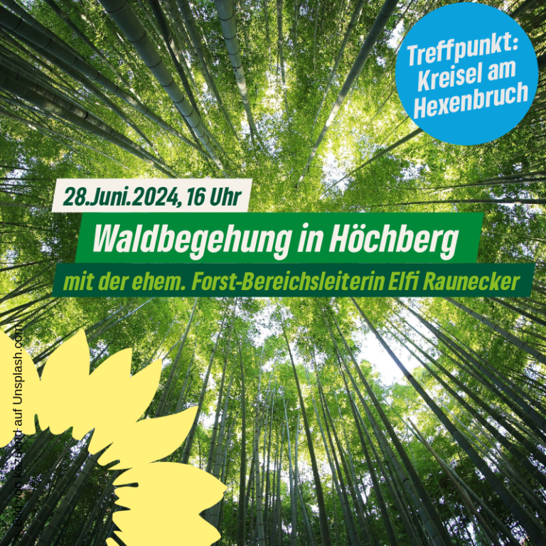 Waldbegehung Höchberg