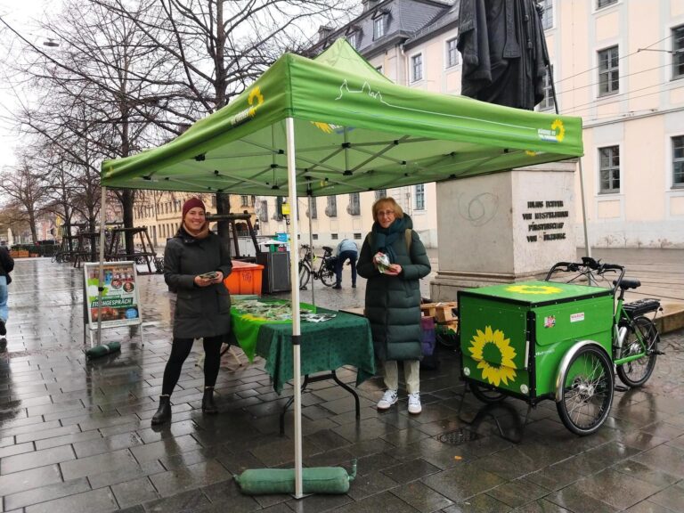 Kekse und Flyer beim Infostand