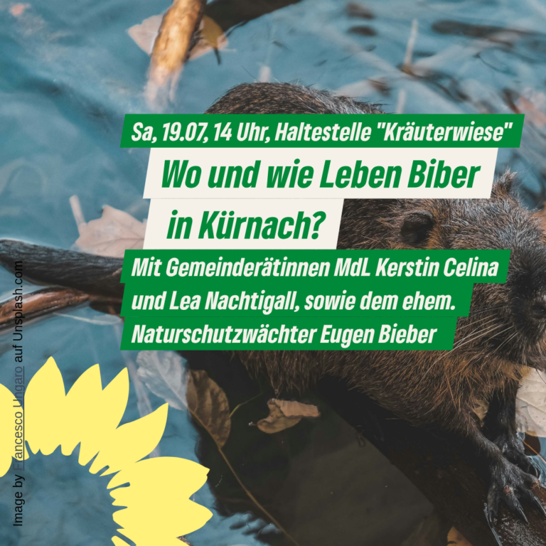Samstag, 19.07.2025,  Biberwanderung in Kürnach!