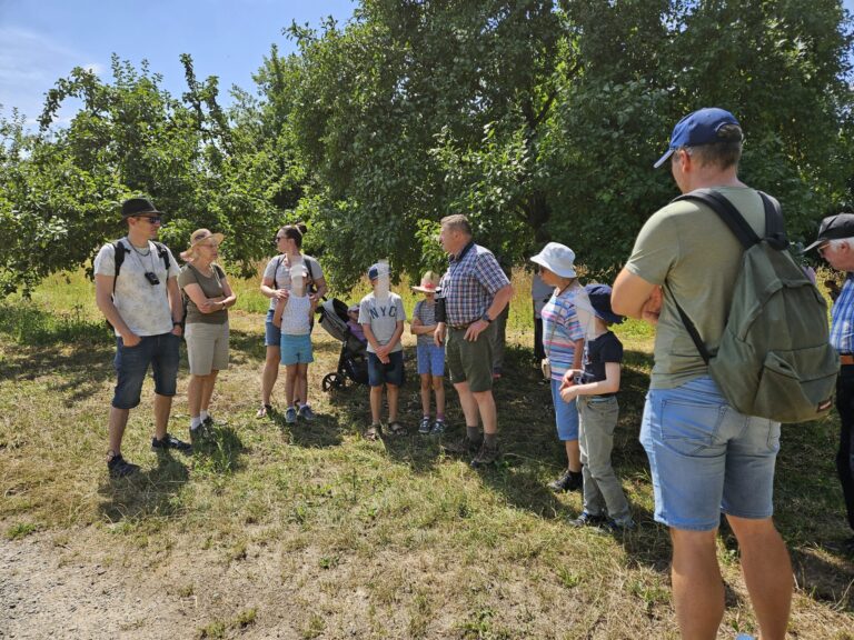 „Wie lebt der Biber in Kürnach?“ – GRÜNE laden zur spannenden Naturführung ein