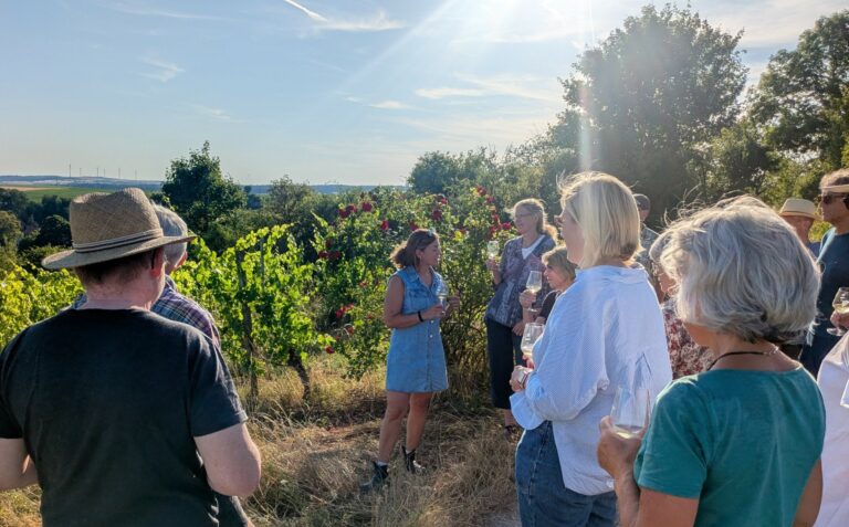 Weinbau im Zeichen des Klimawandels