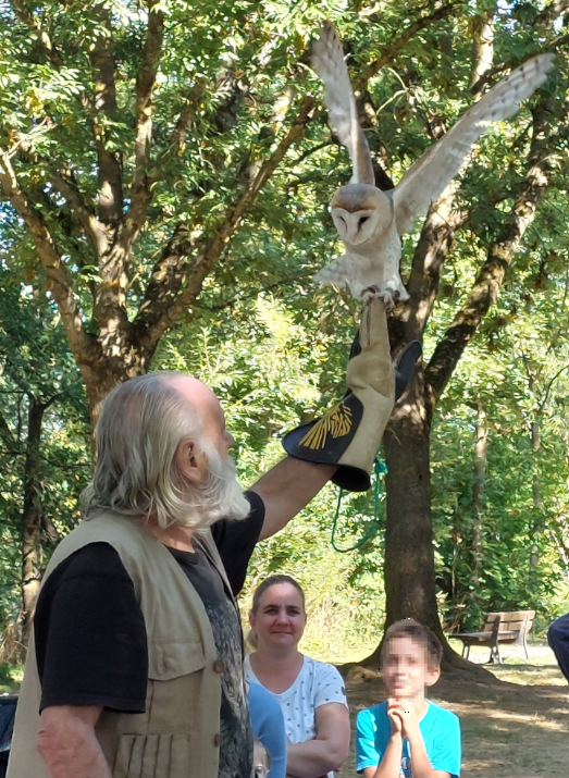 Kinder erlebten Eulen und Greifvögel hautnah im Veitshöchheimer Ferienprogramm