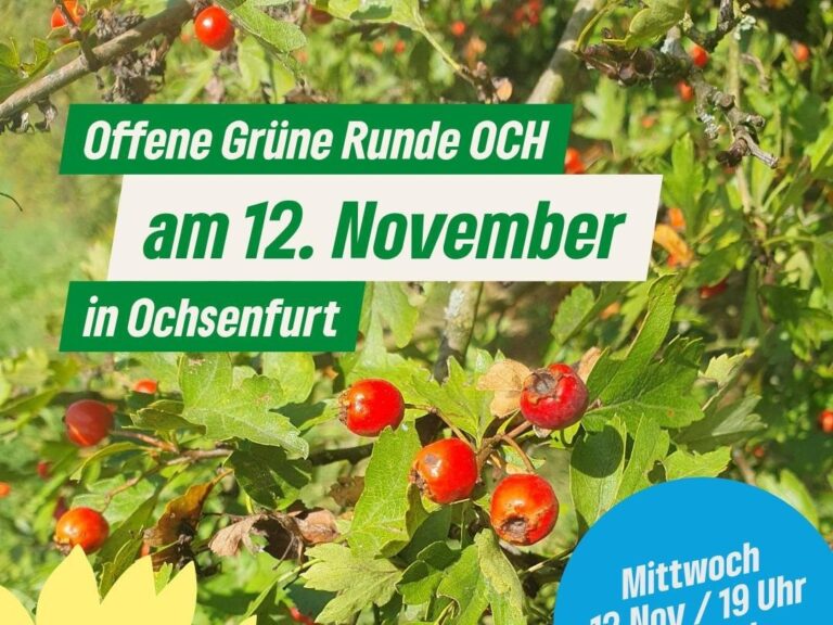 Mittwoch, 12.11.25: Offene Grüne Runde in Ochsenfurt