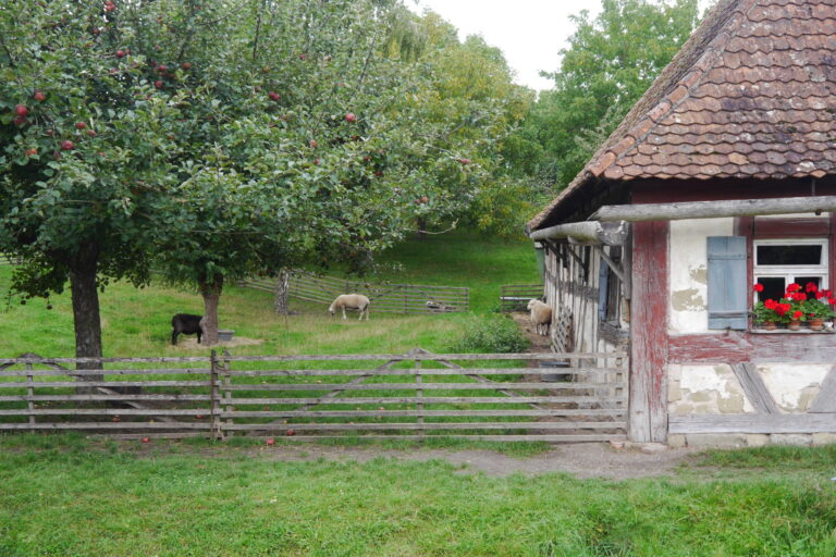 Tausendjähriges Jubiläum in Rottendorf!